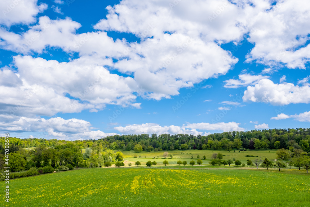 Meadow landscape with blue sky - Bubendorf, Switzerland