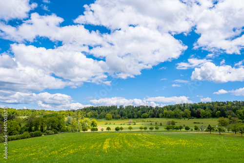 Meadow landscape with blue sky - Bubendorf  Switzerland