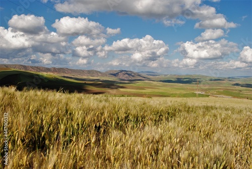 Paysages divers Algériens, hautes plaines, montagnes