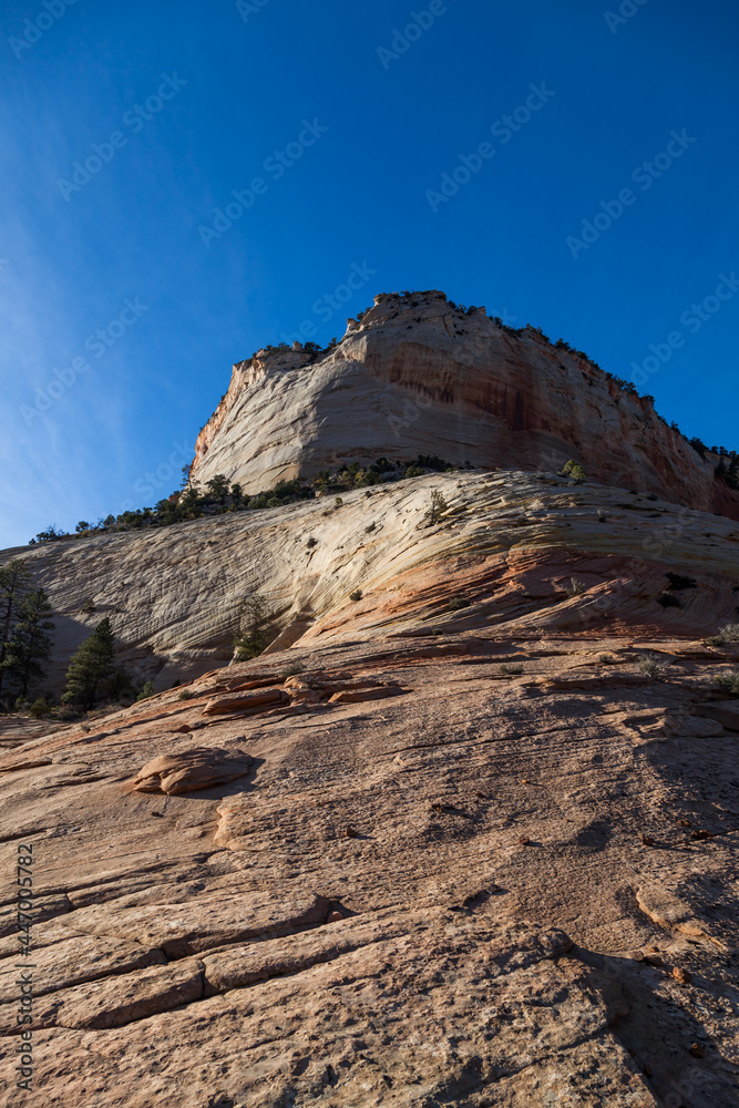 Sandstone Mountain in Zion