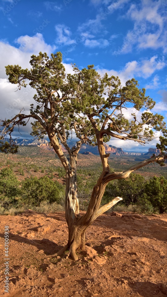 The scenic view of the natural scenery of Sedona, Arizona.  A spectacular tourist destination.