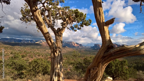The scenic view of the natural scenery of Sedona  Arizona.  A spectacular tourist destination.