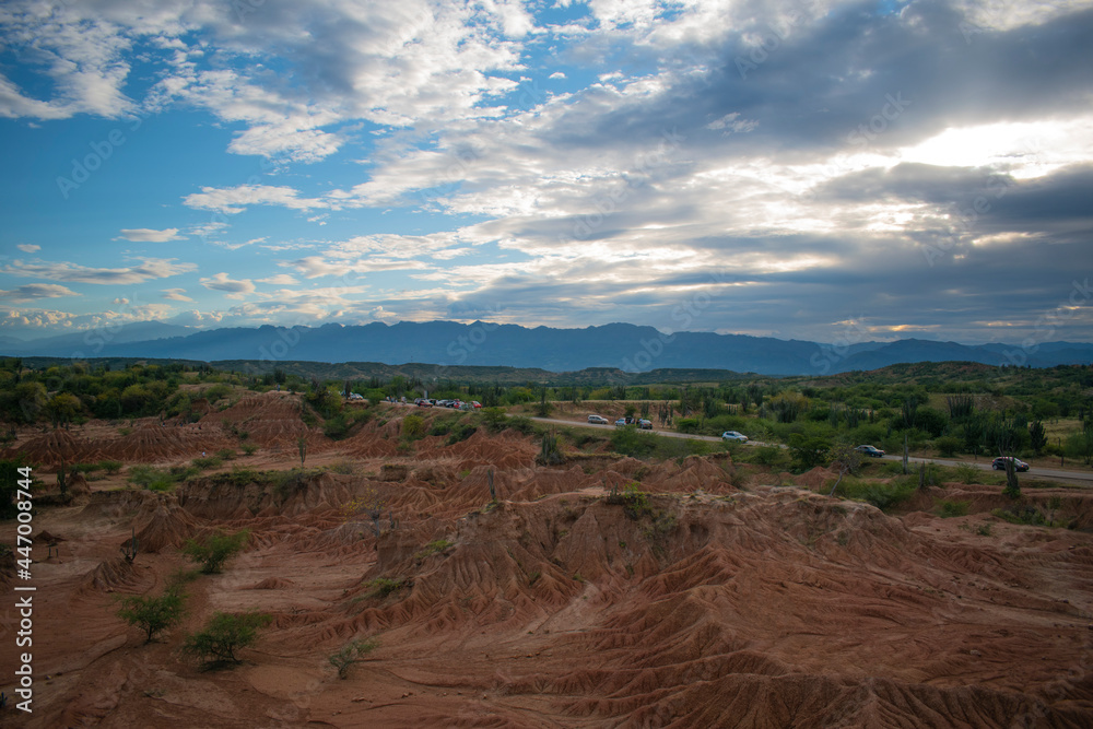 desertic horizon with dry forest 