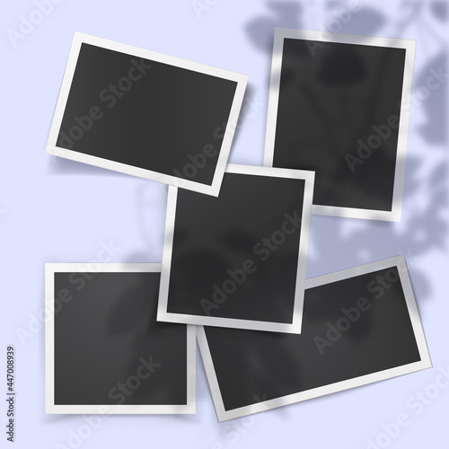 Realistic vector set of vintage photo templates with shadow overlay from the window and plants outside the window