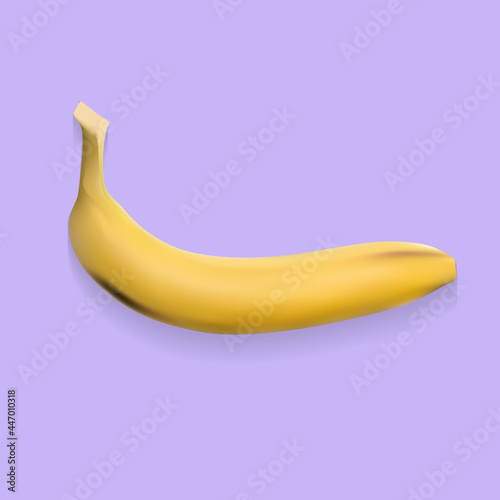 Illustration of vector graphic realistic banana
