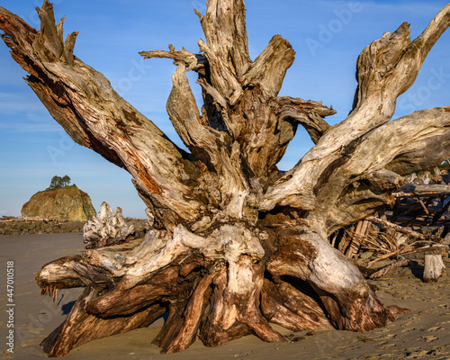 Sea stacks