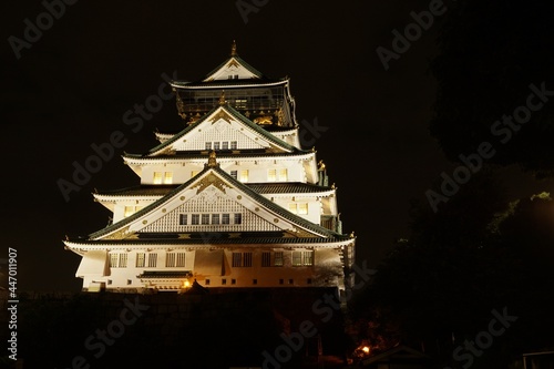 Osaka Castle at night