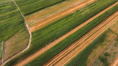Agriculture Field Aerial View
