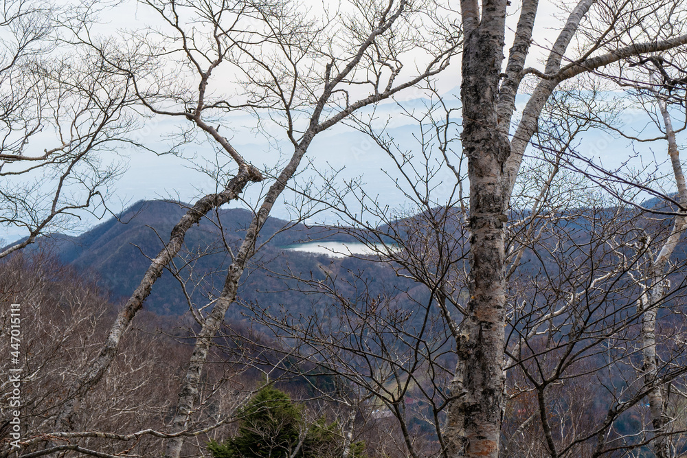 紅葉の季節の群馬県の赤城山の登山道の風景 A view of the trail at Mount Akagi in Gunma Prefecture during the season of autumn leaves. 紅葉の季節の群馬県の赤城山の登山道の風景 A view of the trail at Mount Akagi in Gunma Prefecture during the season of autumn leaves.