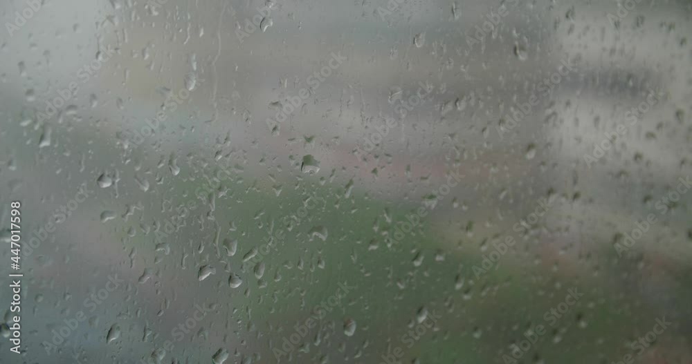 Rain drop on the window