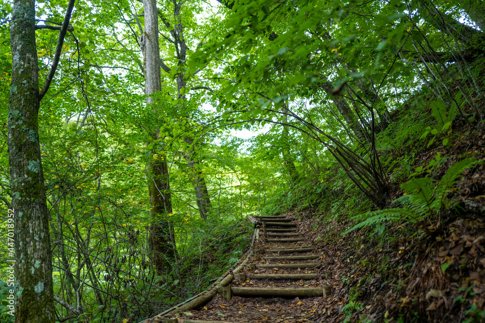 Obraz premium 長野県軽井沢の風景 Scenery of Karuizawa, Nagano Prefecture 