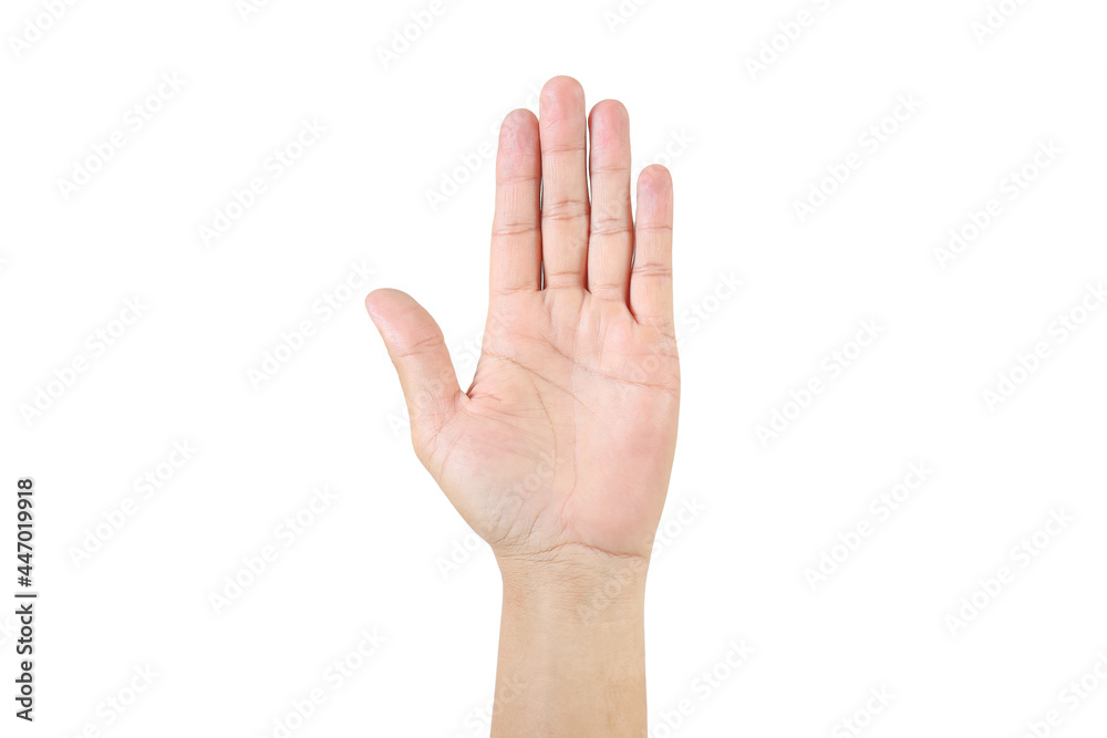 Man hand showing five finger isolated on white background ,clipping path included use for graphic design Man hand showing five finger isolated on white background ,clipping path included use for graphic design