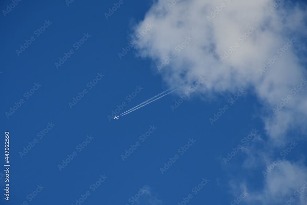 airplane flying in the sky airplane flying in the sky