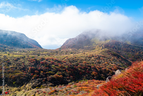大分県の紅葉のくじゅう連山の風景  Mt.Kujyu range scenery of autumn leaves in Oita Prefecture  © Hello UG