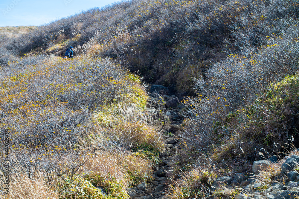 大分県の紅葉のくじゅう連山の風景  Mt.Kujyu range scenery of autumn leaves in Oita Prefecture 