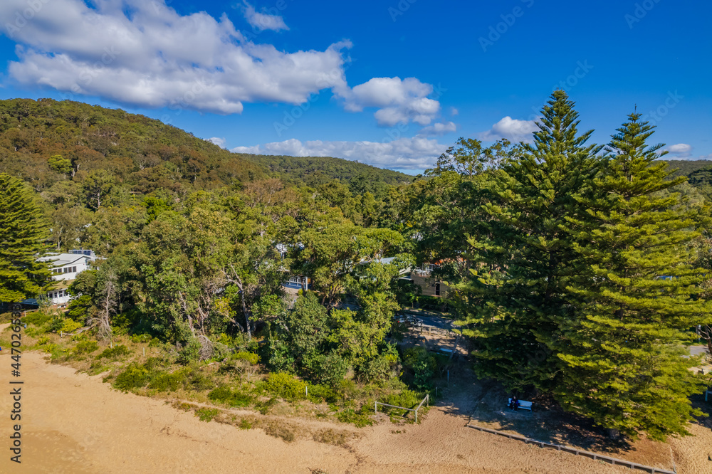 Morning aerial views at the beach with Norfolk Pines and Gum Trees Morning aerial views at the beach with Norfolk Pines and Gum Trees