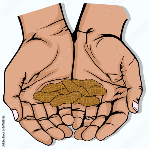 Vector illustration of open hand with several peanut