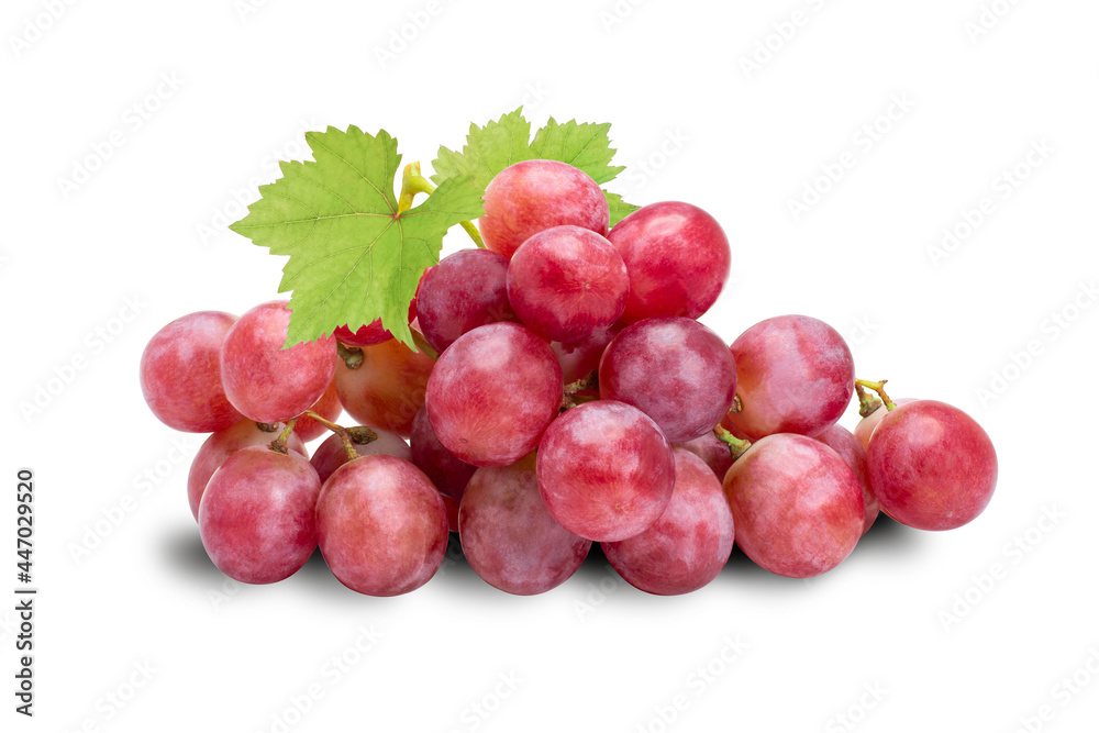 Fototapeta premium red grapes with leaf isolated on white