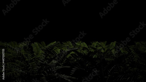Light from an unknown source periodically illuminates thickets of bushes with long leaves. Seamless loop.