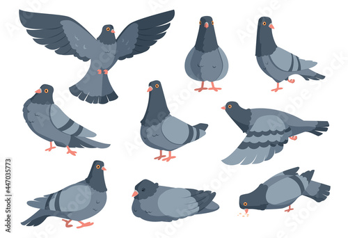 Cartoon dove. Funny pigeon characters. Flying animal in different poses. Wild winged creatures set standing and eating on white. Urban fauna collection. Vector city birds flock in flight