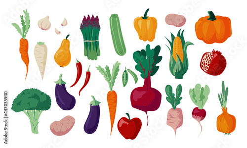 Autumn vegetables. Doodle organic food. Nature fall harvest with cartoon plants. Freehand sketch of vegetarian meal collection. Apple and eggplants. ear of corn or carrots. Vector crop set