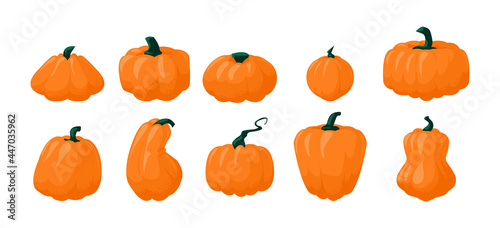 Cartoon pumpkin. Autumn gourd vegetable for Halloween and Thanksgiving holidays. Simple orange plant flat icon. Cooking natural ingredient. Vegetarian food product. Vector squash set