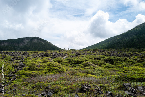 長野県の北横岳の登山道の風景 A view of the trail at Kita-Yokodake in Nagano Prefecture.