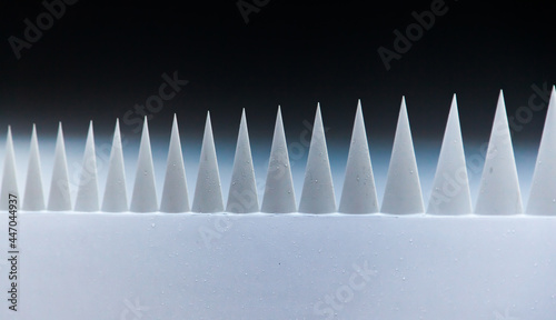 White sharp triangles on a dark background, similar to shark teeth, protrude from the white body.