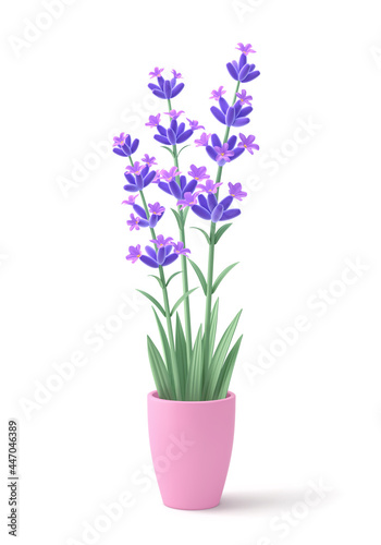 Fototapeta Naklejka Na Ścianę i Meble -  3D lavender flowers in pink pot isolated on white background