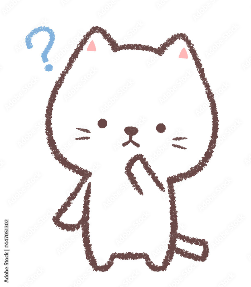 わからないシロネコ