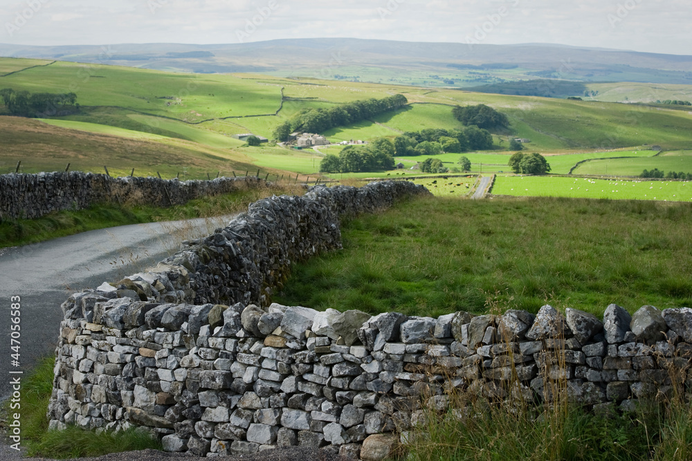 drystone wall in the North Yorkshire dales in summer