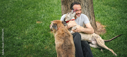 Happy attractive mature man 50 years old resting on the grass while walking with dogs, tender hugs and kisses with pets