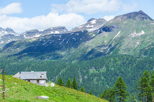 The woods, nature and the peace of the mountains of the Alpe Veglia - Devero natural park: a place suitable for the whole family near the town of Baceno, Italy - July 2021.