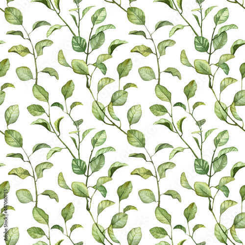 Square seamless pattern with green botany. Watercolor hand painted background. Green leaves clip art on white background. Seamless vine branch
