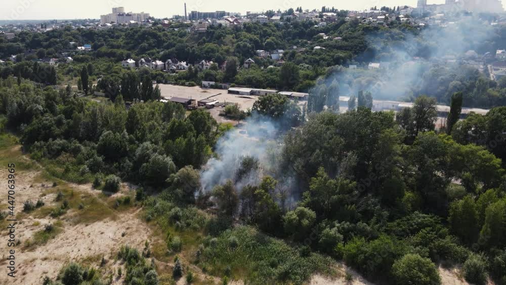 burning dry grass near the forest belt burning dry grass near the forest belt