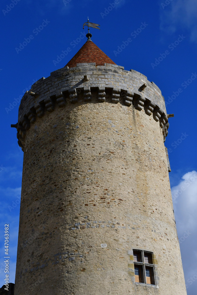 Blandy les Tours, France - august 21 2020 : the historical castle