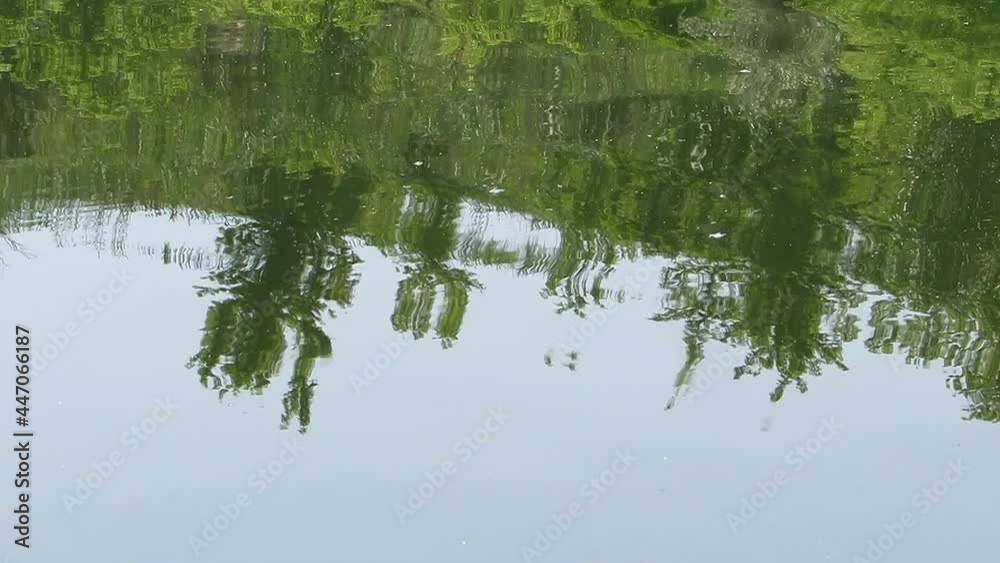 Reflection of trees and sky in water beautifully bright green Reflection of trees and sky in water beautifully bright green