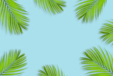 Creative layout of colorful tropical  palm leaf on pastel blue background. minimal summer exotic concept with copy space, flat lay.