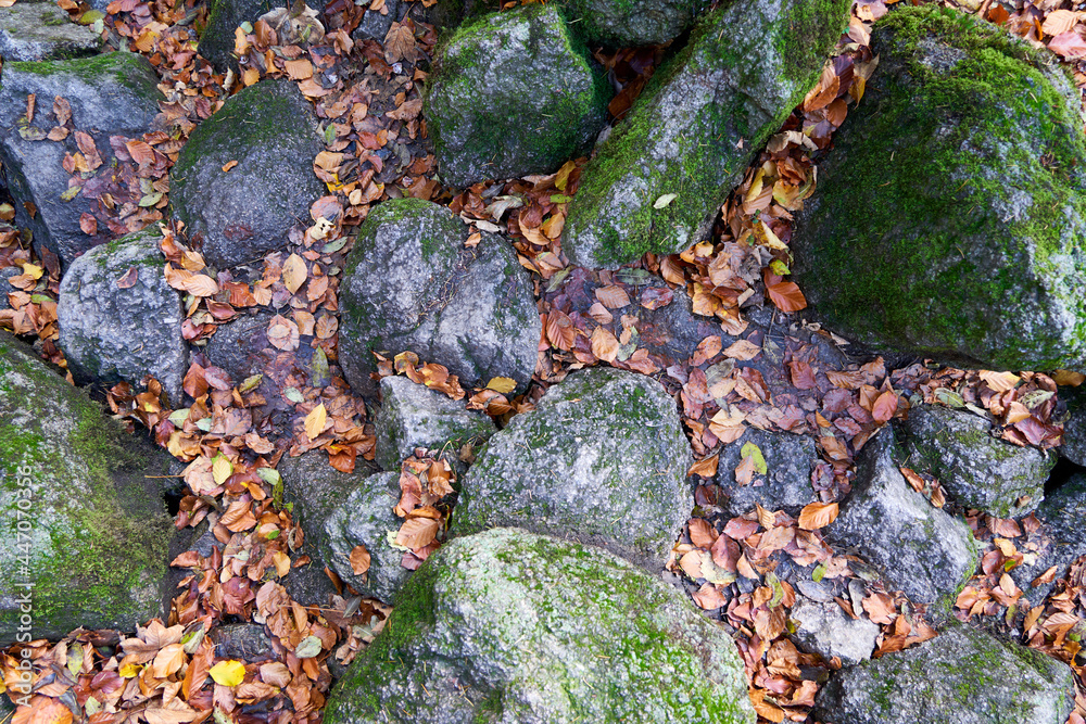 Top view from forest floor in the autumn. Brown leaves and mossy stones. Pattern for backgrounds. Top view from forest floor in the autumn. Brown leaves and mossy stones. Pattern for backgrounds.