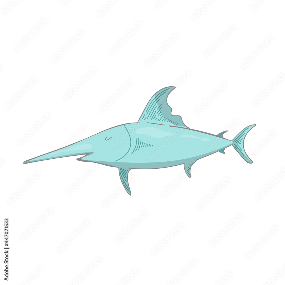 Fototapeta premium illustration of a swordfish, isolated on white. doodle , line. sketch, sea animal. Book illustration, t shirt graphics. coloring line vector design isolated black on white background