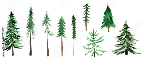 Christmas trees watercolor set of elements. Template for decorating designs and illustrations.