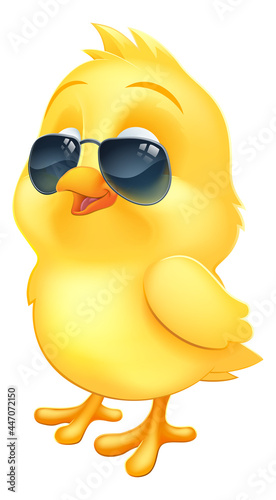 Cool Easter Baby Chick Chicken Bird in Sunglasses