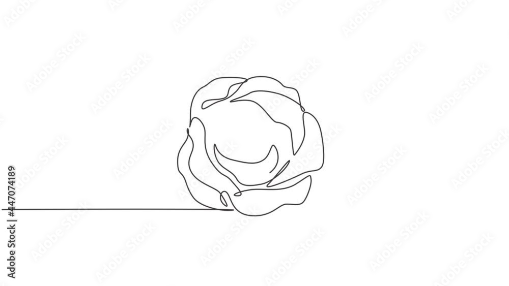 Animated self drawing of one continuous line draw fresh beautiful romantic rose flower. Greeting card, invitation, logo, banner, poster concept. Full length single line animation illustration. Animated self drawing of one continuous line draw fresh beautiful romantic rose flower. Greeting card, invitation, logo, banner, poster concept. Full length single line animation illustration.
