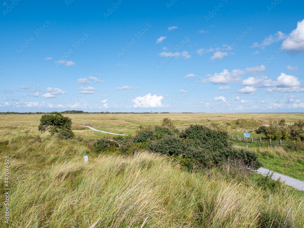 Bicycle path and Oosterkwelder marshes on West Frisian island Schiermonnikoog, Netherlands