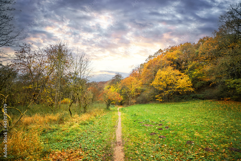 Naklejka premium Autumn landscape with a nature trail