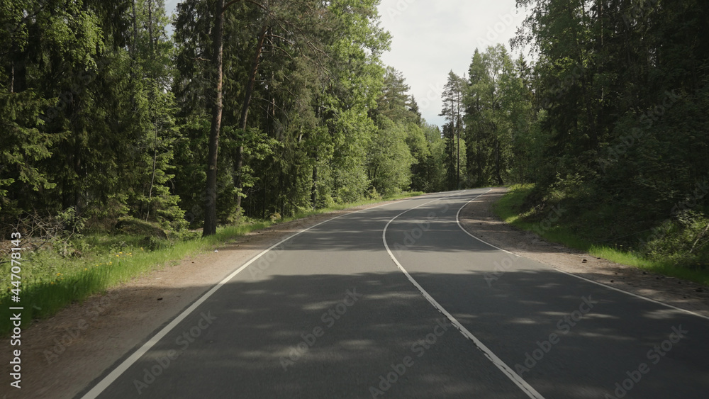 driving plate through forest in sunny summer day