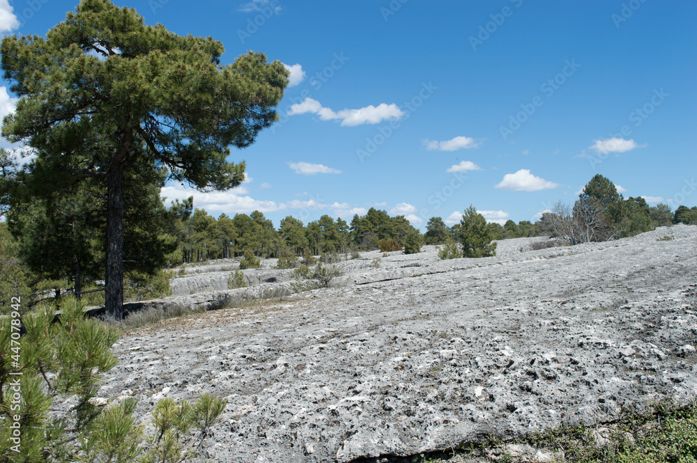 Ciudad Encantada, Cuenca, España.