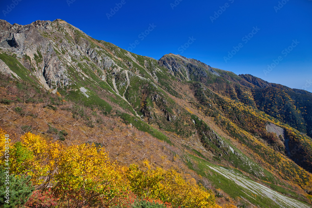 mt.warusawa, mt.akaishi, in autumn, trekking 秋の悪沢岳、赤石岳トレッキング mt.warusawa, mt.akaishi, in autumn, trekking 秋の悪沢岳、赤石岳トレッキング