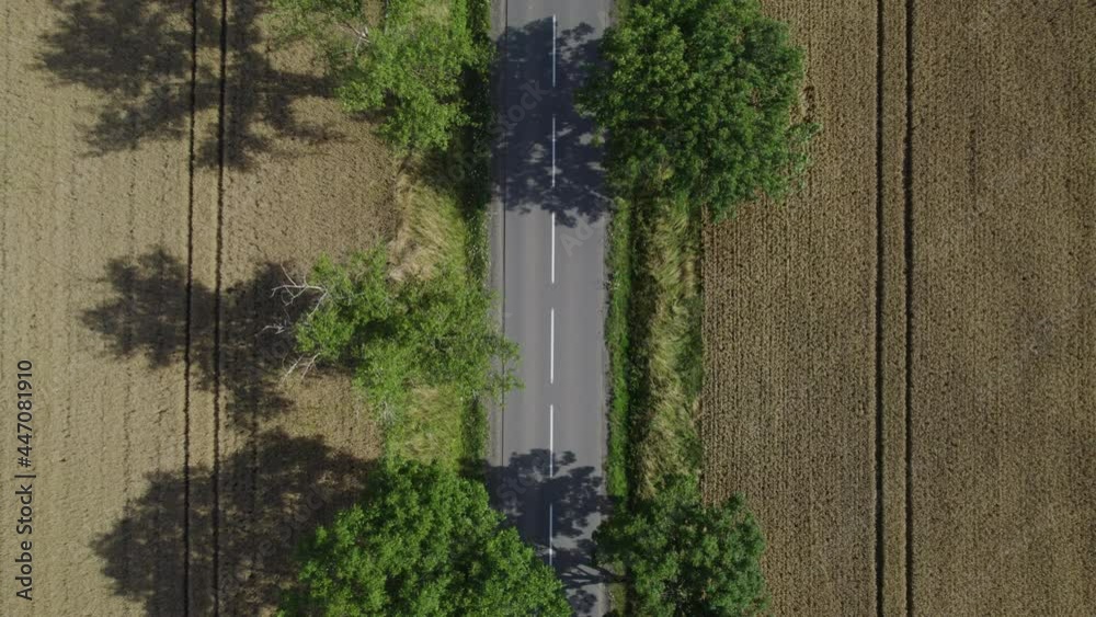 A country road between fields in a rural landscape (aerial) A country road between fields in a rural landscape (aerial)