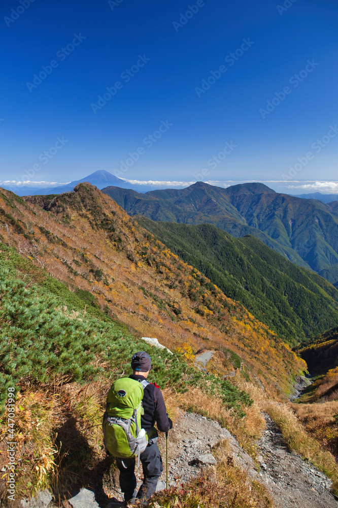 mt.fuji from mt.warusawa, akaishi 悪沢岳、赤石岳からの富士山